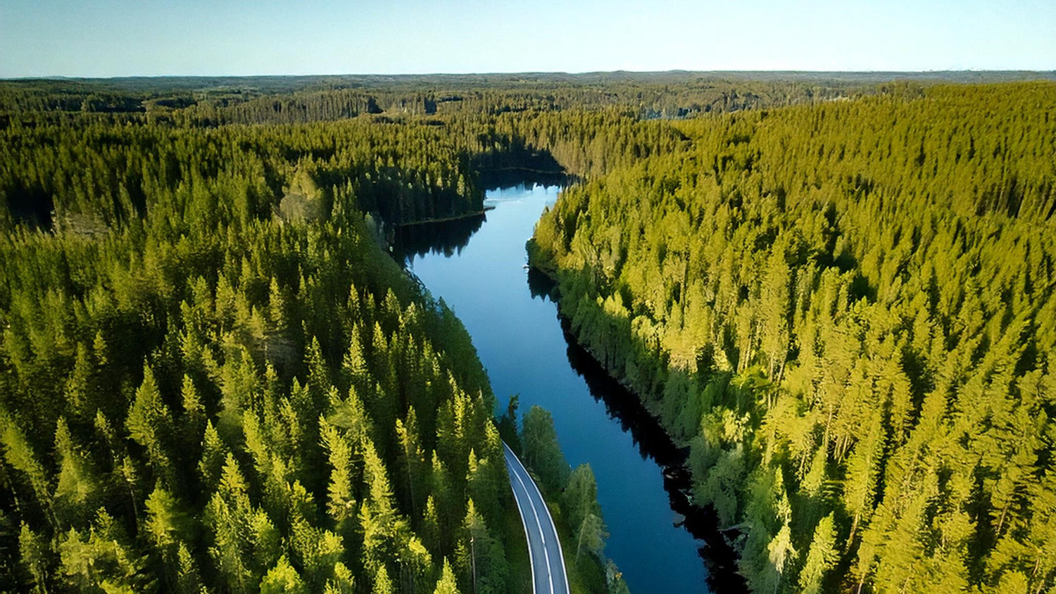 En sjö täckandes med en svensk skog och en liten bilväg som syns intill skogen