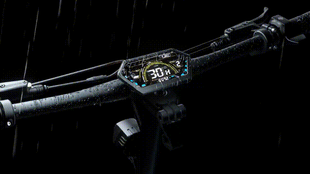 Hiley Tiger EVO GTR Patinete eléctrico Pantalla