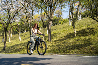 C29 Pro de Duott - Bicicleta eléctrica - Tienda de ruedas
