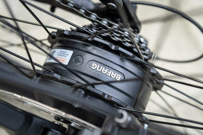 E29 de Duott - Bicicleta eléctrica - Tienda de ruedas