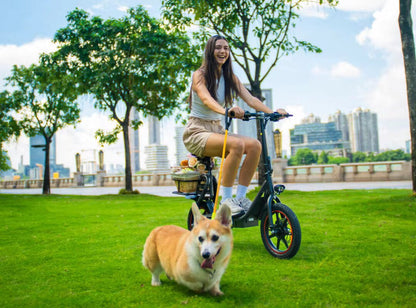 DYU C4 - Electric bike - Wheelyshop
