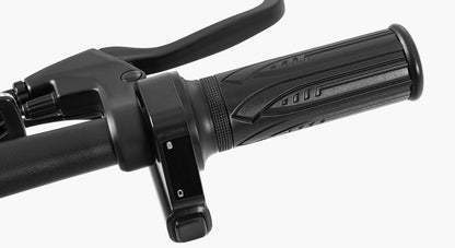 DYU C4 - Electric bike - Wheelyshop