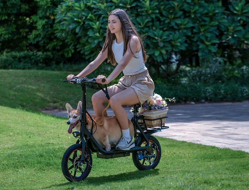 DYU C4 - Electric bike - Wheelyshop