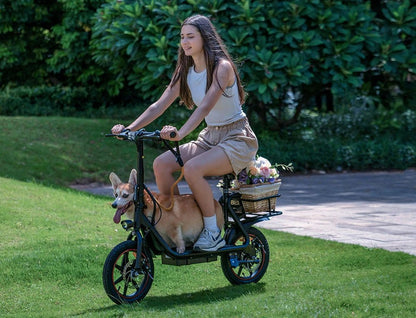 DYU C4 - Electric bike - Wheelyshop