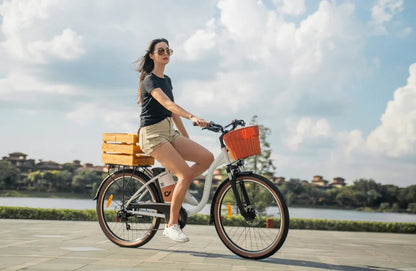 DYU C6 Pro - Bicicleta eléctrica - Tienda de ruedas