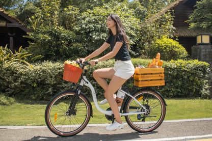 DYU C6 Pro - Bicicleta eléctrica - Tienda de ruedas