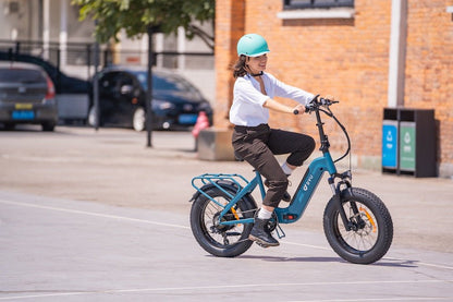 DYU FF500 - Bicicleta eléctrica - Tienda de ruedas