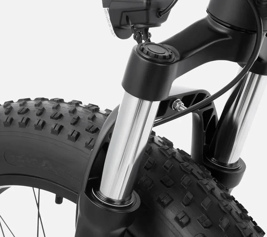 DYU Rey 750 - Bicicleta eléctrica - Tienda de ruedas