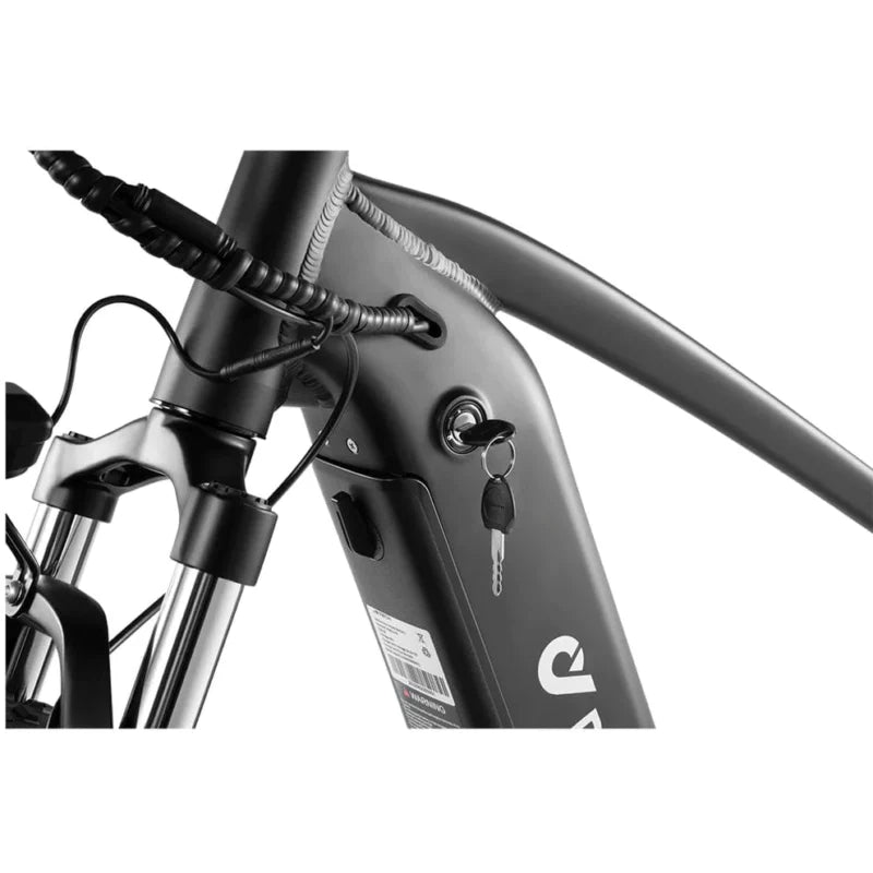 DYU Rey 750 - Bicicleta eléctrica - Tienda de ruedas