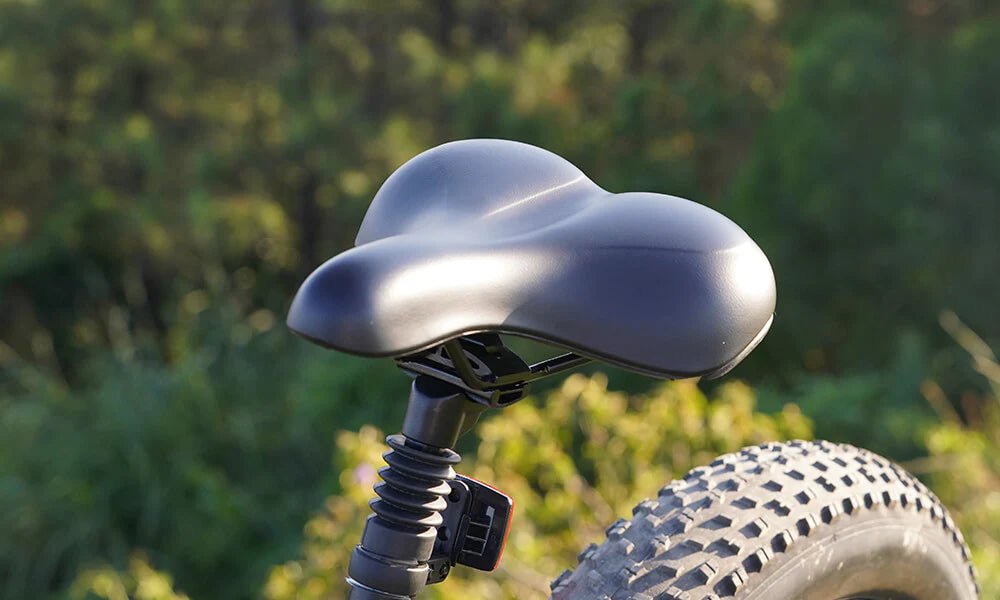 DYU Rey 750 - Bicicleta eléctrica - Tienda de ruedas