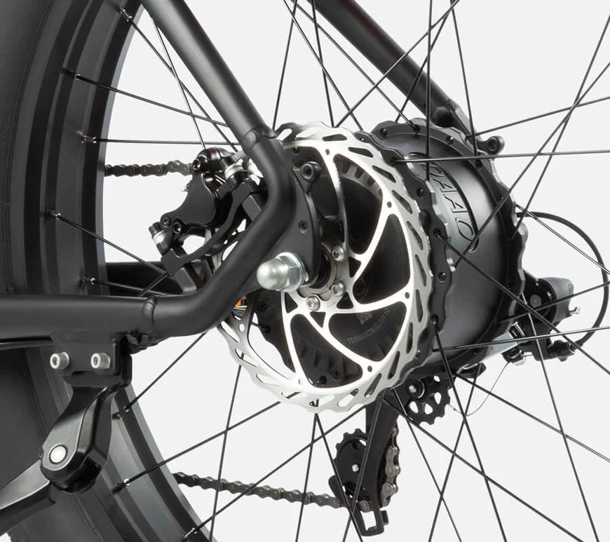 DYU Rey 750 - Bicicleta eléctrica - Tienda de ruedas