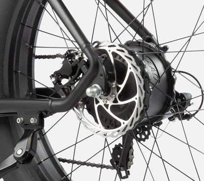 DYU Rey 750 - Bicicleta eléctrica - Tienda de ruedas