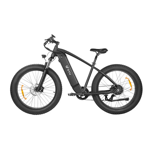DYU Rey 750 - Bicicleta eléctrica - Tienda de ruedas
