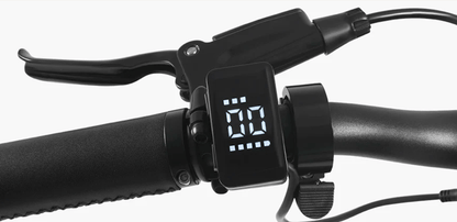 Paseo DYU 1 - Bicicleta eléctrica - Tienda de ruedas