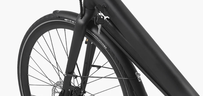 Paseo DYU 1 - Bicicleta eléctrica - Tienda de ruedas