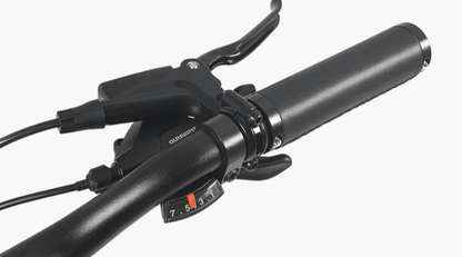 Paseo DYU 1 - Bicicleta eléctrica - Tienda de ruedas