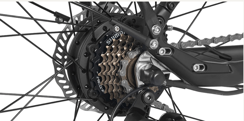 Paseo DYU 1 - Bicicleta eléctrica - Tienda de ruedas