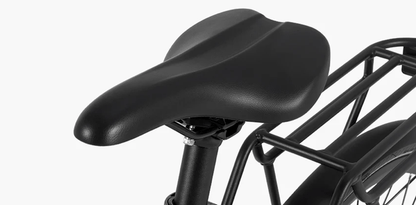 Paseo DYU 1 - Bicicleta eléctrica - Tienda de ruedas