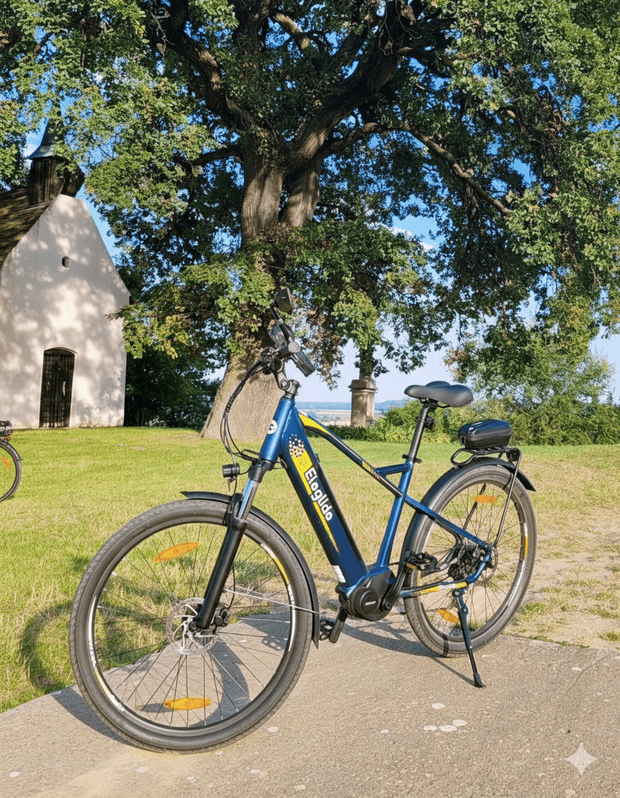 Eleglide C1 - Bicicleta eléctrica - Tienda de ruedas