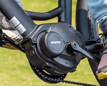 Eleglide C2 - Bicicleta eléctrica - Tienda de ruedas