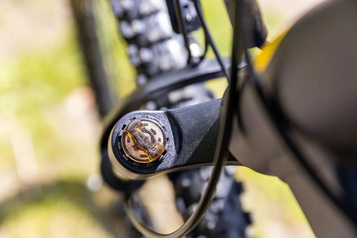 Eleglide Mopride 3 - Electric bike - Wheelyshop