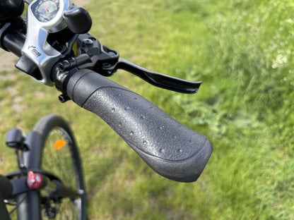 Eleglide T2 - Bicicleta eléctrica - Tienda de ruedas