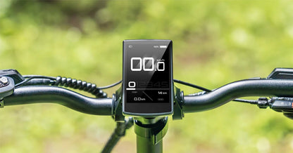 ENGWE MOTOR Pro 3.0 Boost - Bicicleta eléctrica - Tienda de ruedas