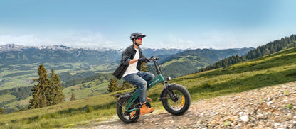 ENGWE EP - 2 3.0 Boost - Bicicleta eléctrica - Tienda de ruedas