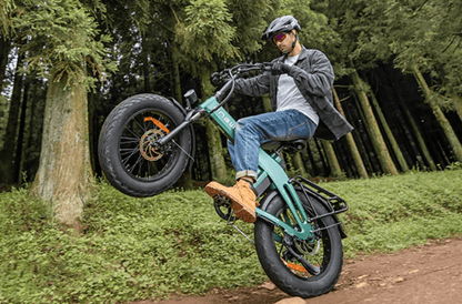 ENGWE EP - 2 3.0 Boost - Bicicleta eléctrica - Tienda de ruedas