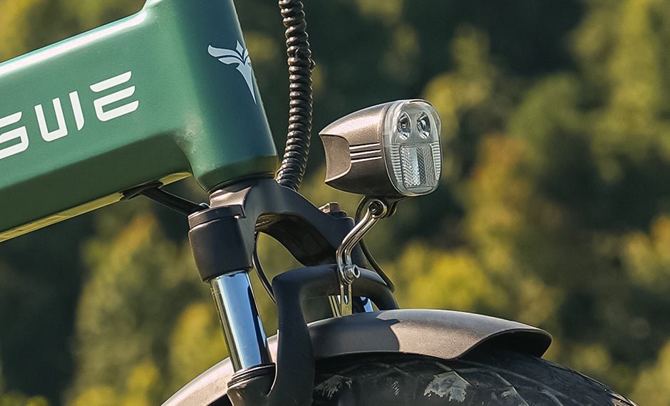 ENGWE EP - 2 3.0 Boost - Bicicleta eléctrica - Tienda de ruedas