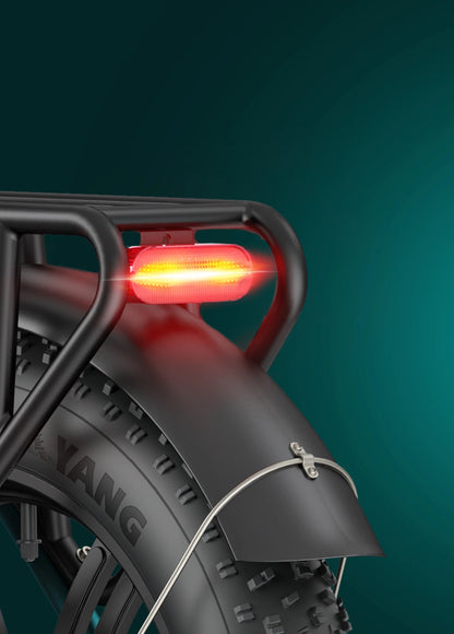 ENGWE L20 Boost - Bicicleta eléctrica - Tienda de ruedas