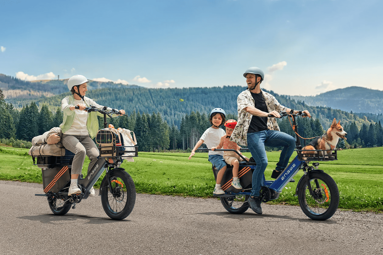 ENGWE LE20 - Bicicleta eléctrica - Tienda de ruedas