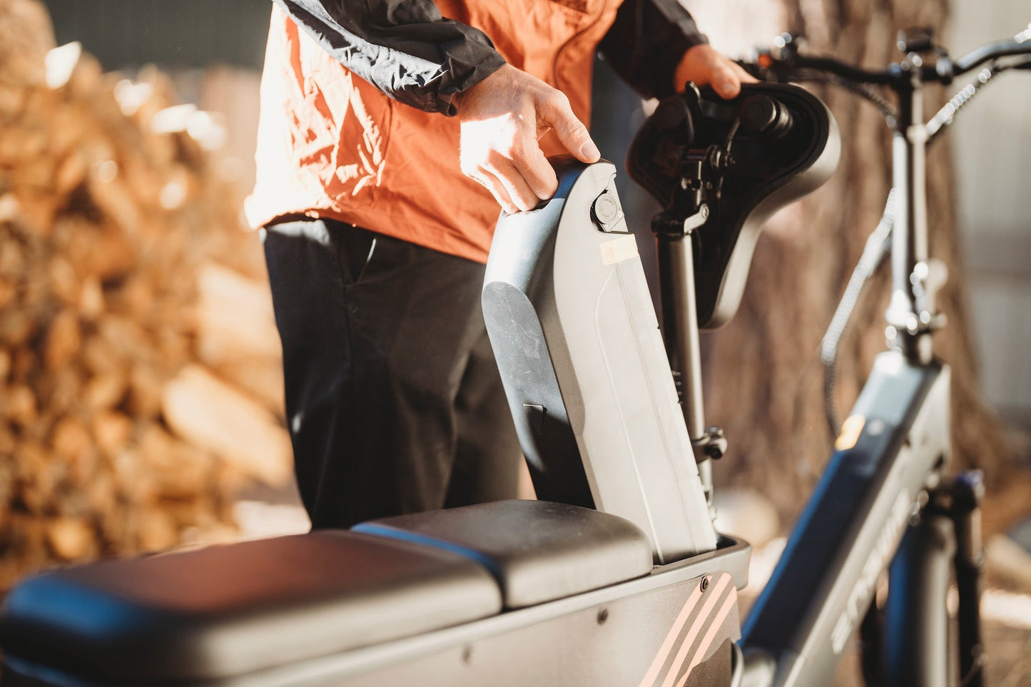 ENGWE LE20 - Bicicleta eléctrica - Tienda de ruedas