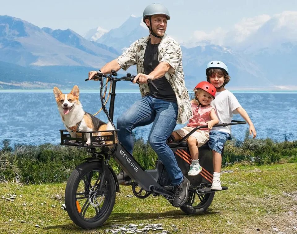 ENGWE LE20 - Bicicleta eléctrica - Tienda de ruedas