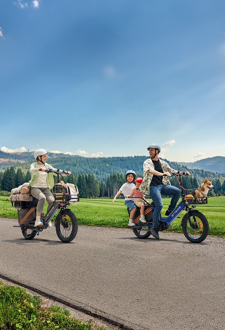ENGWE LE20 - Bicicleta eléctrica - Tienda de ruedas