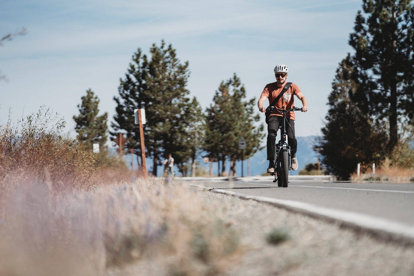 ENGWE LE20 - Bicicleta eléctrica - Tienda de ruedas