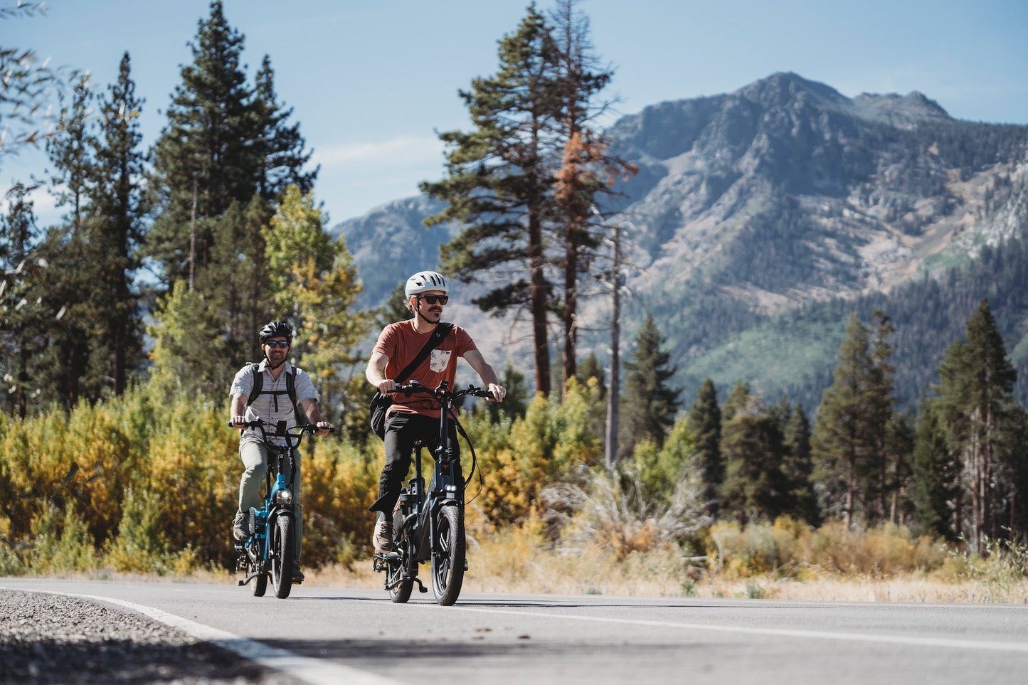 ENGWE LE20 - Bicicleta eléctrica - Tienda de ruedas