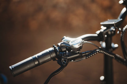 ENGWE LE20 - Bicicleta eléctrica - Tienda de ruedas