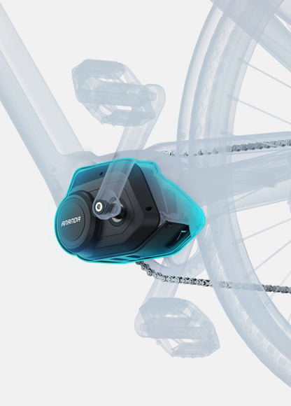 ESPAÑOL N1 Pro - Bicicleta eléctrica - Tienda de ruedas