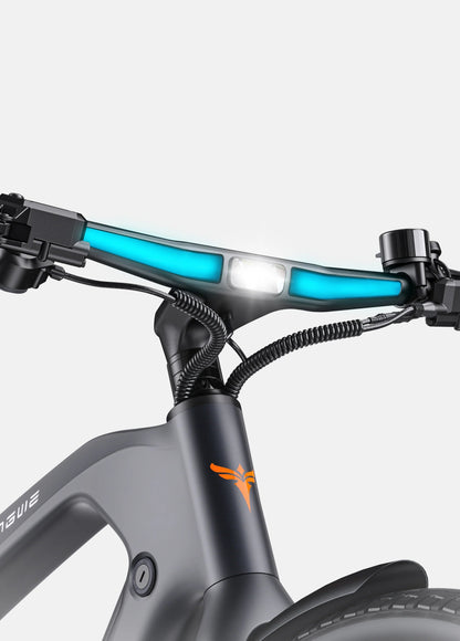 ESPAÑOL N1 Pro - Bicicleta eléctrica - Tienda de ruedas