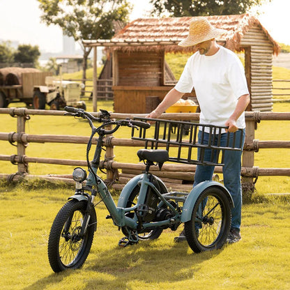 Fafree's F20 Mate - 48V 21Ah - Electric bike - Wheelyshop