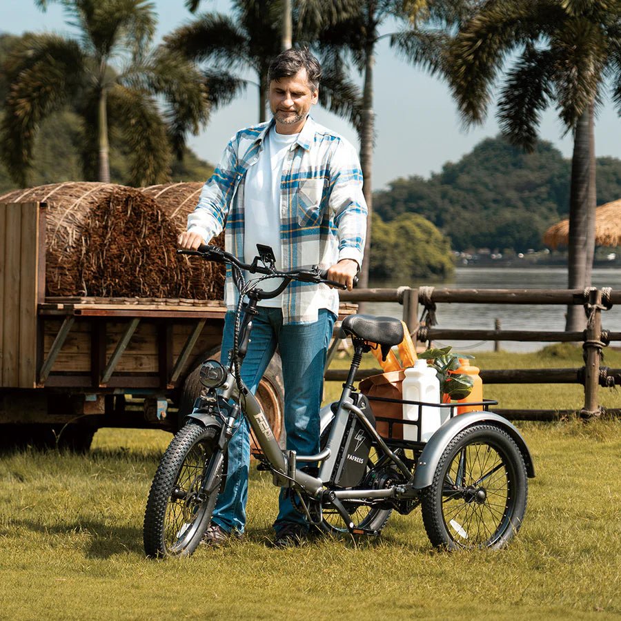 Fafree's F20 Mate - 48V 21Ah - Electric bike - Wheelyshop