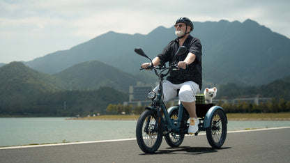 Fafree's F20 Mate - 48V 21Ah - Electric bike - Wheelyshop
