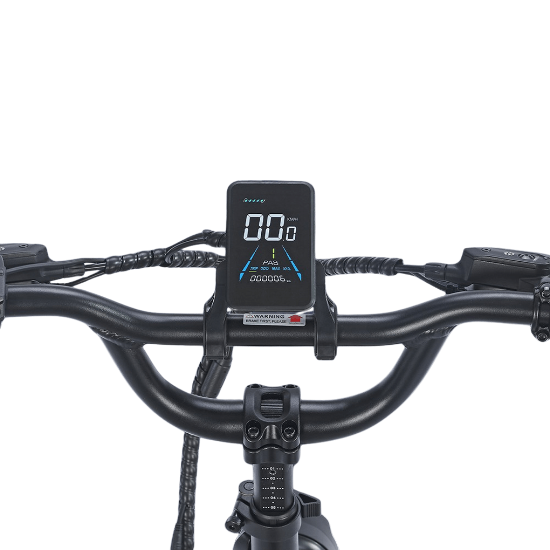 Fafree's F20 Mate - 48V 21Ah - Electric bike - Wheelyshop