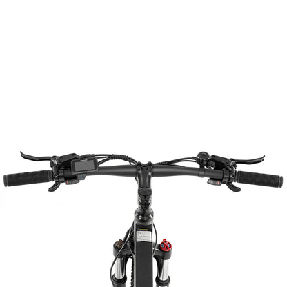 Foride Xtremer 2 - Bicicleta eléctrica - Tienda de ruedas