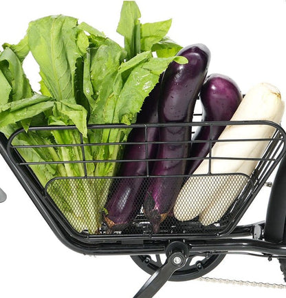 Hidoes B9 - Bicicleta eléctrica - Tienda de ruedas