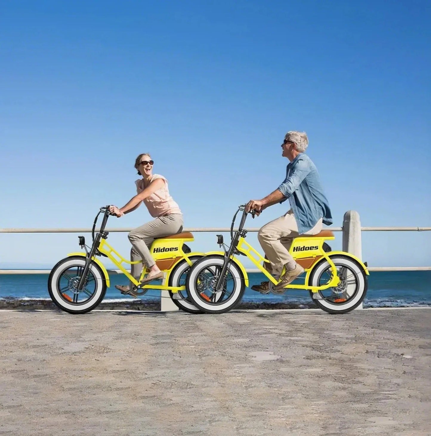 Hidoes C8 - Bicicleta eléctrica - Tienda de ruedas