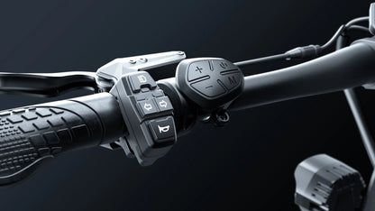 HILEY TIGER EVO GTR - Patinete eléctrico - Tienda de ruedas