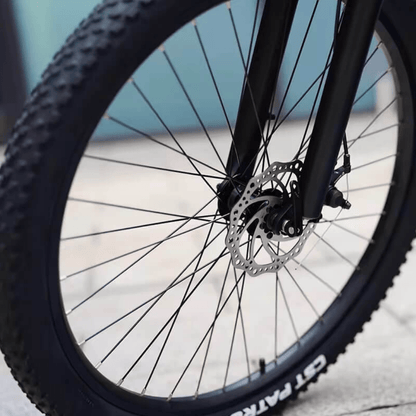 HXQ5 - Bicicleta eléctrica - Tienda de ruedas