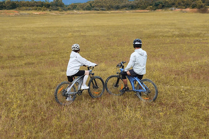 HXQ5 - Bicicleta eléctrica - Tienda de ruedas